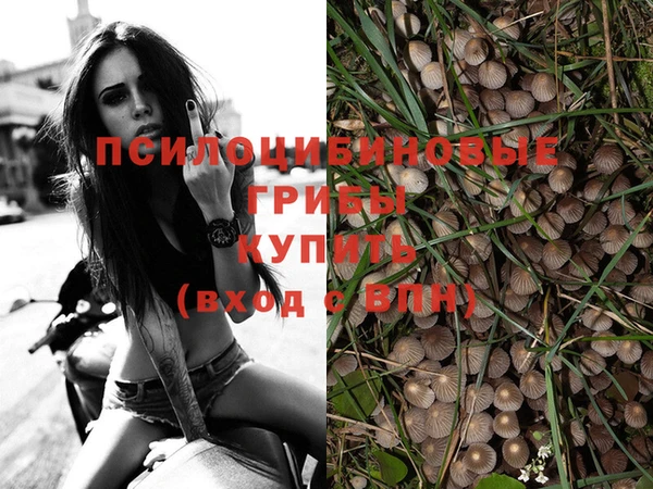 стафф Алексеевка