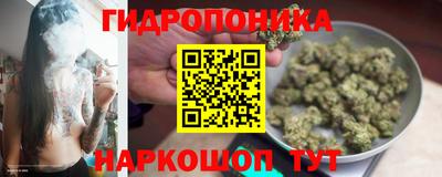 амф Гусев