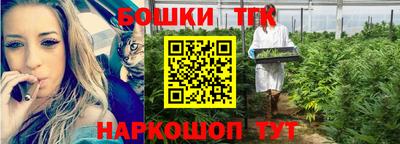 амф Гусев