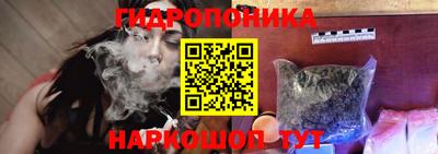 амф Гусев
