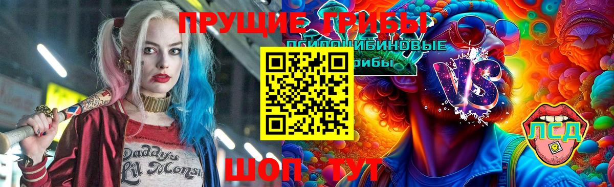 закладки  Киреевск  Галлюциногенные грибы Psilocybe 