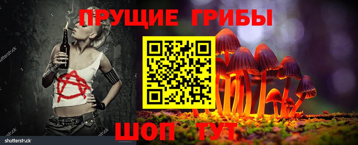 Галлюциногенные грибы Psilocybe  Вход с VPN  Киреевск  Галлюциногенные грибы мухоморы 